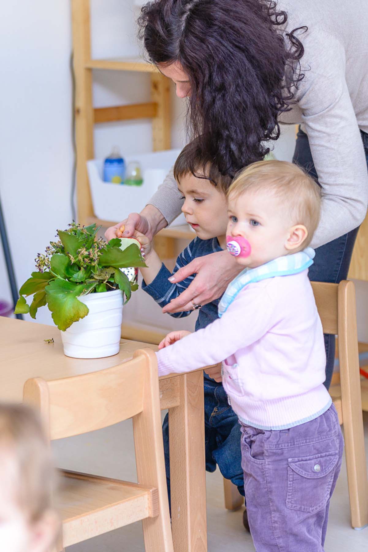 Kinder ertasten Pflanze