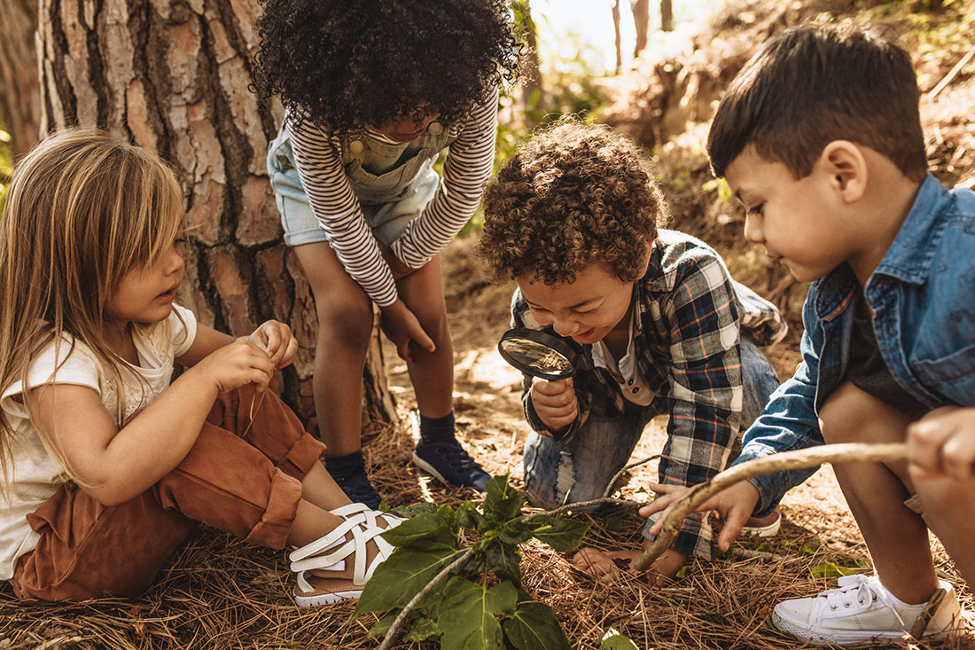 Freie Kindergartenplätze, Freie Kindergartenplätze finden, Wien